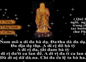 Ngỡ ngàng với khả năng chữa làn bệnh ung thư của chú Vãng sinh