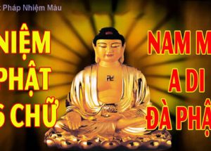 Chia sẻ kinh nghiệm tìm hiểu và tu tập về Phật pháp cơ bản