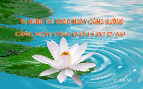 tu-dung-suong